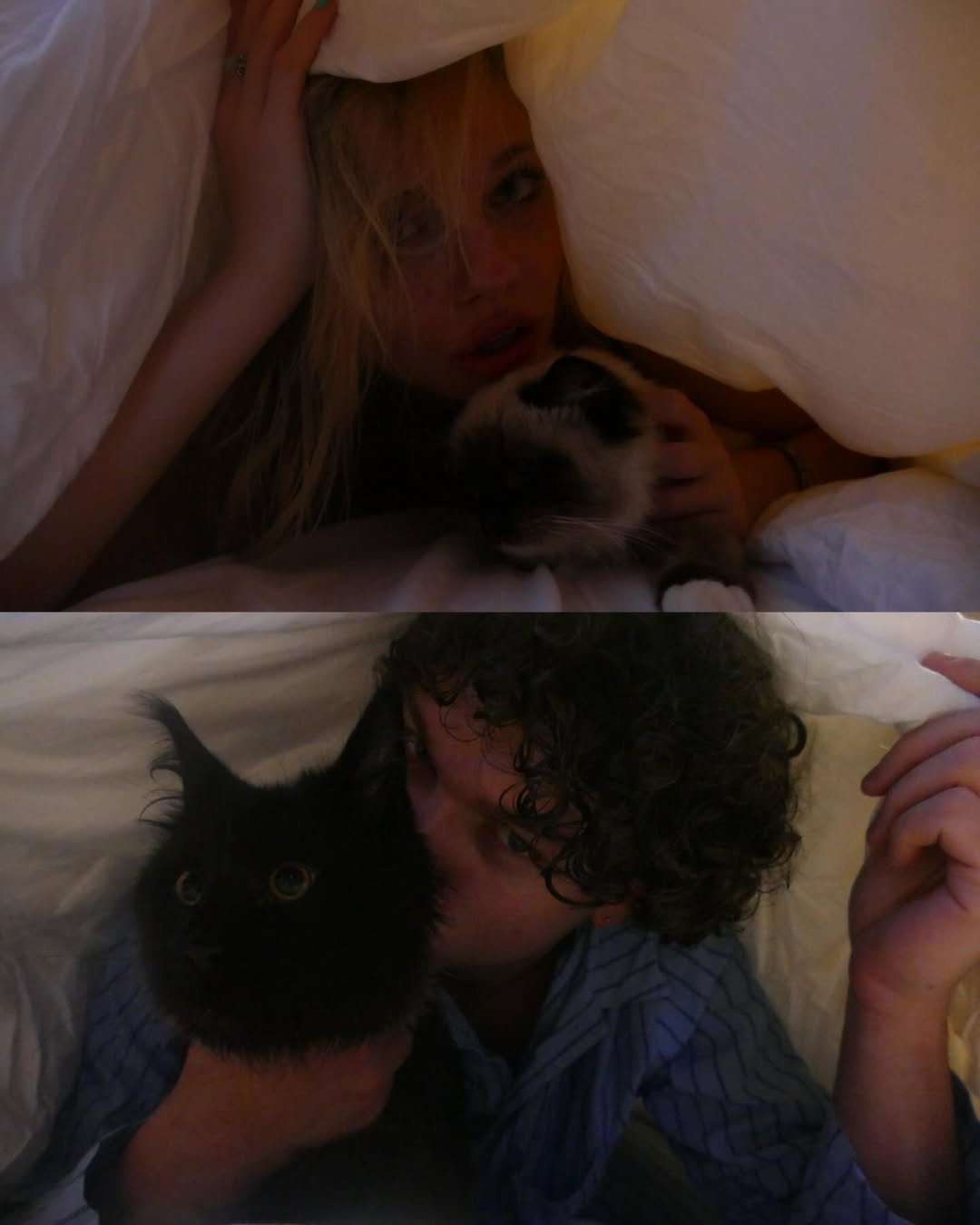 moodboard